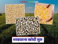 पणन महासंघामार्फत शासकीय केंद्रांवर मका, बाजरी अन् ज्वारी खरेदी सुरु; नोंदणी ऑफलाईनच होणार - Marathi News | Purchase of maize, pearl millet and jowar has started at government centers through the Marketing Federation; Registration will be done offline | Latest agriculture News at Lokmat.com