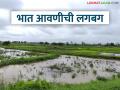 Bhat Lagvad : 'जाई-बाई, सई-बाई, करा रोवणीची घाई..' भात आवणीची परंपरा कायम  - Marathi News | Latest news bhat lagvad Rice cultivation in most districts of Maharashtra traditon paddy farming | Latest agriculture News at Lokmat.com