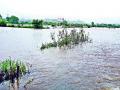 भातशेती पाण्याखाली - Marathi News | Rice paddy under water | Latest nashik News at Lokmat.com