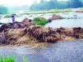 अतिवृष्टीने गिळले भात, रत्नागिरी जिल्ह्यात पन्नास टक्के शेती वाया - Marathi News | Paddy swallowed by heavy rains, fifty percent of agriculture in Ratnagiri district wasted | Latest ratnagiri News at Lokmat.com