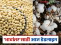 Bhavantar Yojana : वर्ष २०२३ मध्ये दर पडल्याने नुकसान; भावांतर योजनेचा मिळाला दिलासा - Marathi News | Bhavantar Yojana : latest news Loss due to falling rates in year 2023; Bhavantar Yojana got relief | Latest agriculture News at Lokmat.com