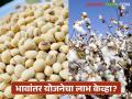 Bhavantar Yojana : बाजारात सोयाबीनचे दर गडगडले; हमीभावापेक्षा १२०० रुपयांनी कमी ! वाचा सविस्तर - Marathi News | Bhavantar Yojana : Soybean prices plummet in the market; Rs 1,200 less than the guaranteed price! Read in detail | Latest agriculture News at Lokmat.com