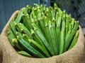२० रुपयांची भेंडी १०० रुपये किलो कशी होते? - Marathi News | How does 20 rupees okra become 100 rupees per kg? | Latest mumbai News at Lokmat.com