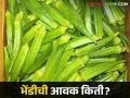 Okra Market : मुरबाड बाजारात भेंडी तेजीत! - Marathi News | Okra Market: Okra booming in Murbad market! | Latest agriculture News at Lokmat.com