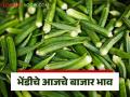 Okra Market : मुंबईत भेंडी तेजीत - Marathi News | Okra Market:  | Latest agriculture News at Lokmat.com