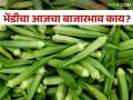 Okra Market : बाजारात भेंडीला मिळाले का चांगले भाव ? - Marathi News | Okra Market: Did Okra get a good price in the market? | Latest agriculture News at Lokmat.com