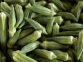 पुण्याच्या बाजारपेठेत भेंडीच्या दरात वाढ - Marathi News | rise of okra price in Pune market | Latest pune News at Lokmat.com