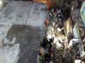 Bhiwandi Building Collapse: मुलाच्या शोधासाठी बापाची वणवण; रोज ढिगाऱ्याजवळ येतो; शोध घेतो अन् अश्रू ढाळत घरी परततो - Marathi News | Bhiwandi Building Collapse Father comes daily to search his son | Latest thane News at Lokmat.com