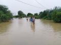 नागपूर विभागातील २१ तालुक्यांत अतिवृष्टी : हजारो कुटुंब बाधित - Marathi News | Heavy rain in 21 talukas of Nagpur division: thousands of families disrupted | Latest nagpur News at Lokmat.com