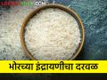 भोर तालुक्यात दरवळतोय नव्या इंद्रायणीचा सुगंध - Marathi News | The fragrance of new Indrayani is spread in Bhor taluka | Latest agriculture News at Lokmat.com