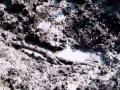 भोसरीतील सहल केंद्रात उकळते पाणी! कारण... - Marathi News | Boiling water in the Bhosari pilgrimage center! The reason ... | Latest pimpri-chinchwad Videos at Lokmat.com