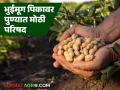 भुईमूग पिकावर पुण्यात मंथन; देशातील १९ राज्यांमधून १५० पेक्षा अधिक शास्त्रज्ञ सहभागी होणार - Marathi News | Groundnut crop brainstorming session in Pune; More than 150 scientists from 19 states of the country will participate | Latest agriculture News at Lokmat.com