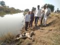 कालव्यात पडून बिबटाचा मृत्यू; कुजलेला मृतदेह आढळला - Marathi News | leopard dead body found near canal | Latest akola News at Lokmat.com