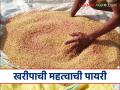 खरीपातील पिकांची कीड व रोगमुक्त उगवण होण्यासाठी पेरणीपूर्वी करा हे सोपे उपाय - Marathi News | To ensure pest and disease-free germination of Kharif crops, follow these simple steps before sowing. | Latest agriculture News at Lokmat.com