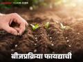Seed Treatment : बीजप्रक्रिया केल्यास कीड रोगांपासून संरक्षण, उत्पादन खर्चात 25 घट, जाणून घ्या सविस्तर  - Marathi News | Latest News Seed Treatment Protection from pest diseases, 25 percent reduction in production cost see about seed treatment  | Latest agriculture News at Lokmat.com