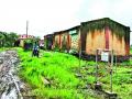 बीजरोपण केंद्र समस्यांनी ग्रासले - Marathi News | The seed production centers have problems | Latest pimpri-chinchwad News at Lokmat.com