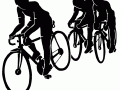 मालवणात ८, ९ रोजी सायकल स्पर्धा - Marathi News | Cycle race on 1st, 5th in Malwa | Latest sindhudurga News at Lokmat.com