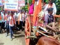 sindhudurg: खड्डेमय रस्त्यासाठी उद्धवसेनेचे बैलगाडीतून आंदोलन - Marathi News | Uddhav Sena's bullock cart protest in Sindhudurg for potholed roads | Latest sindhudurga News at Lokmat.com