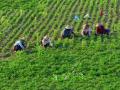 शेती, पणन सुधारणा विधेयकाबाबत काटेकोर अमंलबजावणी आवश्यक - Marathi News | Opinions expressed on the Agriculture, Marketing Reforms Bill | Latest sindhudurga News at Lokmat.com