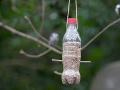 आपण घरात बसलो , पण पक्ष्यांना खाऊ कोण देणार ? - Marathi News | lockdown: DIY : bird feeder activity for kids | Latest urjaa News at Lokmat.com