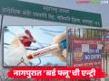 Bird Flu Alert in Nagpur : नागपुरात बर्ड फ्लूची एन्ट्री; 'या' भागात २१ दिवस कडक निर्बंध - Marathi News | latest news Bird Flu Alert in Nagpur: Bird flu enters Nagpur; Strict restrictions in ‘this’ area for 21 days | Latest agriculture News at Lokmat.com