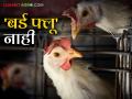 Bird Flu in Nanded : नांदेडमध्ये बर्ड फ्लूची लागण नाही; चिकन, अंडी खाणे शंभर टक्के सुरक्षित - Marathi News | Bird Flu in Nanded : No bird flu infection in Nanded; Eating chicken, eggs is 100 percent safe | Latest agriculture News at Lokmat.com