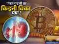'गरज पडली तर किडनी विका, पण बिटकॉईन ठेवा', कोणी दिला असा विचित्र सल्ला? - Marathi News | sell kidney buy bitcoin cryptocurrency price falls microstrategy cofounder michael saylor bitcoin price falls | Latest business News at Lokmat.com