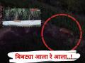 Video : बिबट्या आला रे आला ..! ऊसतोडणीनंतर ओतूर परिसरात बिबट्यांची वाढती हालचाल; नागरिकांमध्ये भीतीचे वातावरण - Marathi News | Leopard Attack Leopards are here! Increased movement of leopards in Otur area after sugarcane cutting; Fear among citizens | Latest pune News at Lokmat.com