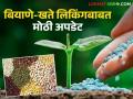 Seed-Fertilizer Linking : बियाणे-खते लिंकिंगवर सरकारचा मोठा निर्णय; कायदा करण्याची तयारी वाचा सविस्तर - Marathi News | latest news Seed-Fertilizer Linking: Government's big decision on seed-fertilizer linking; Read in detail | Latest agriculture News at Lokmat.com