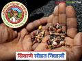 Mahadbt Biyane : महाडीबीटीची बियाणे सोडत निघाली, लाभार्थी यादी आली, वाचा सविस्तर  - Marathi News | latest News MahaDBT seeds scheme released, beneficiary list released, read in detail | Latest agriculture News at Lokmat.com