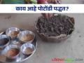 Seed Germination : पूर्वी बियाण्यांची उगवणक्षमता कशी तपासली जायची, काय आहे पोटोंडी पद्धत? - Marathi News | Latest News Use of potondi method to test seed germination earlier see details | Latest agriculture News at Lokmat.com
