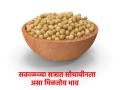 soybean market: आज सकाळच्या सत्रात  ११ हजार १०९ क्विंटल सोयाबीनची आवक, काय मिळतोय भाव? - Marathi News | | Latest agriculture News at Lokmat.com
