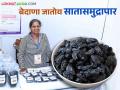 येळावीच्या उद्योजक सारिका यांची यशकथा बचत गटाचा बेदाणा पाठविला सातासमुद्रापार - Marathi News | Success story of entrepreneur Sarika from Yelavi village women self help group raisins export | Latest agriculture News at Lokmat.com