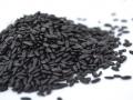 नागपुरात पिकविला ‘ब्लॅक राईस’ : राज्यातील पहिलाच प्रयोग - Marathi News | Black Rice produced In Nagpur: The first experiment in the state | Latest nagpur News at Lokmat.com