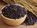 काळा तांदूळ आरोग्यासाठी ठरतो फायदेशीर; 'हे' आहेत फायदे! - Marathi News | do you like rice try sometime black rice also | Latest food News at Lokmat.com