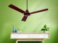 Ceiling Fans: घरातील पंखे बदलून वाचवता येईल वीज; कमी होईल खिशावरचा भार, पर्यावरणालाही लागेल हातभार - Marathi News | environment friendly BLDC ceiling fans for energy efficient performance | Latest tech News at Lokmat.com