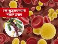 ना टॉनिक ना गोळ्या...शरीरातील रक्त शुद्ध करण्यासाठी मदत करतात या 7 नॅचरल गोष्टी! - Marathi News | 7 best natural home remedies to purify blood | Latest sakhi Photos at Lokmat.com
