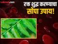 सतत थकवा आणि कमजोरी जाणवते? अशुद्ध झालंय तुमचं रक्त, वाचा रक्त शुद्ध करण्याचा सोपा उपाय! - Marathi News | Dr Zaidi told how to use neem to purified blood | Latest health News at Lokmat.com