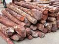 बटाट्याच्या ढिगाऱ्याखाली  सापडले ४ कोटींचे रक्तचंदन - Marathi News | Blood sandalwood worth Rs 4 crore was found under a pile of potatoes | Latest crime News at Lokmat.com