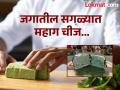 'हे' आहे जगातील सगळ्यात महागडं चीज, इतक्या किंमतीत घेऊ शकाल एक आलिशान बंगला - Marathi News | Worlds most expensive cheese worth 36 lakh blue cheese from Spain | Latest jarahatke Photos at Lokmat.com