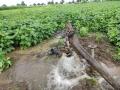 निसर्गाची करणी...कुपनलिकेतून वाहतेय भरभरून पाणी ! - Marathi News | Nature's deed ... water flowing through the borarwell without pump | Latest akola News at Lokmat.com