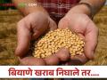 Agriculture News : बियाणे खराब निघाले तर.... शेतकऱ्यांना ग्राहक मंचात न्याय मिळतो का? वाचा सविस्तर  - Marathi News | Latest News Will farmers get compensation if their seeds turn out bad agriculture department or consumer forums | Latest agriculture News at Lokmat.com