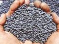 बोगस बियाण्यावरून शेतकऱ्यांमध्ये वाढला संभ्रम! - Marathi News | Bogus seeds increase farmer confusion! | Latest buldhana News at Lokmat.com