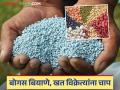 Bogus Seeds: बोगस बियाणे विकणाऱ्यांची आता खैर नाही वाचा सविस्तर - Marathi News | Bogus Seeds: latest news Those who sell bogus seeds are no longer safe. Read in detail | Latest agriculture News at Lokmat.com