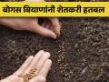 'जे पेरलं ते उगवलंच नाही', जबाबदार कोण?  - Marathi News | | Latest agriculture News at Lokmat.com