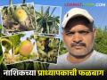 Success Story : नाशिकच्या प्राध्यापकाची कमाल, अडीच एकरांत फुलवली चाळीस प्रकारची फळबाग!  - Marathi News | Latest news Professor of Nashik farming forty types of fruits in two and a half acres | Latest agriculture News at Lokmat.com
