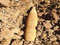 शेतात आढळली बॉम्बसदृश वस्तू - Marathi News | Bombshell objects found in the field | Latest vasai-virar News at Lokmat.com
