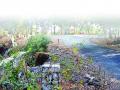 बोडणी घाटातील प्रवास जीवघेणा - Marathi News | Travel in the Bodni Ghat is fatal | Latest raigad News at Lokmat.com