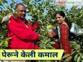 Farmer Success Story : पेरूच्या आठशे झाडांतून शेतकरी बोराडे यानी घेतले २० लाखांचे उत्पन्न - Marathi News | Farmer Success Story : Farmer Borade earned an income of Rs. 20 lakhs from eight hundred Peruvian trees | Latest agriculture News at Lokmat.com