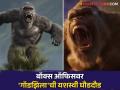 बॉलिवूडवर भारी पडतोय हॉलिवूड सिनेमा! 'गॉडझिला X काँग'ने १० दिवसांत जमवला इतक्या कोटींचा गल्ला - Marathi News | godzilla x kong total indian box office collection in 10 days beat kareena kapoor crew and earn 72.57 crore in second sunday | Latest filmy News at Lokmat.com